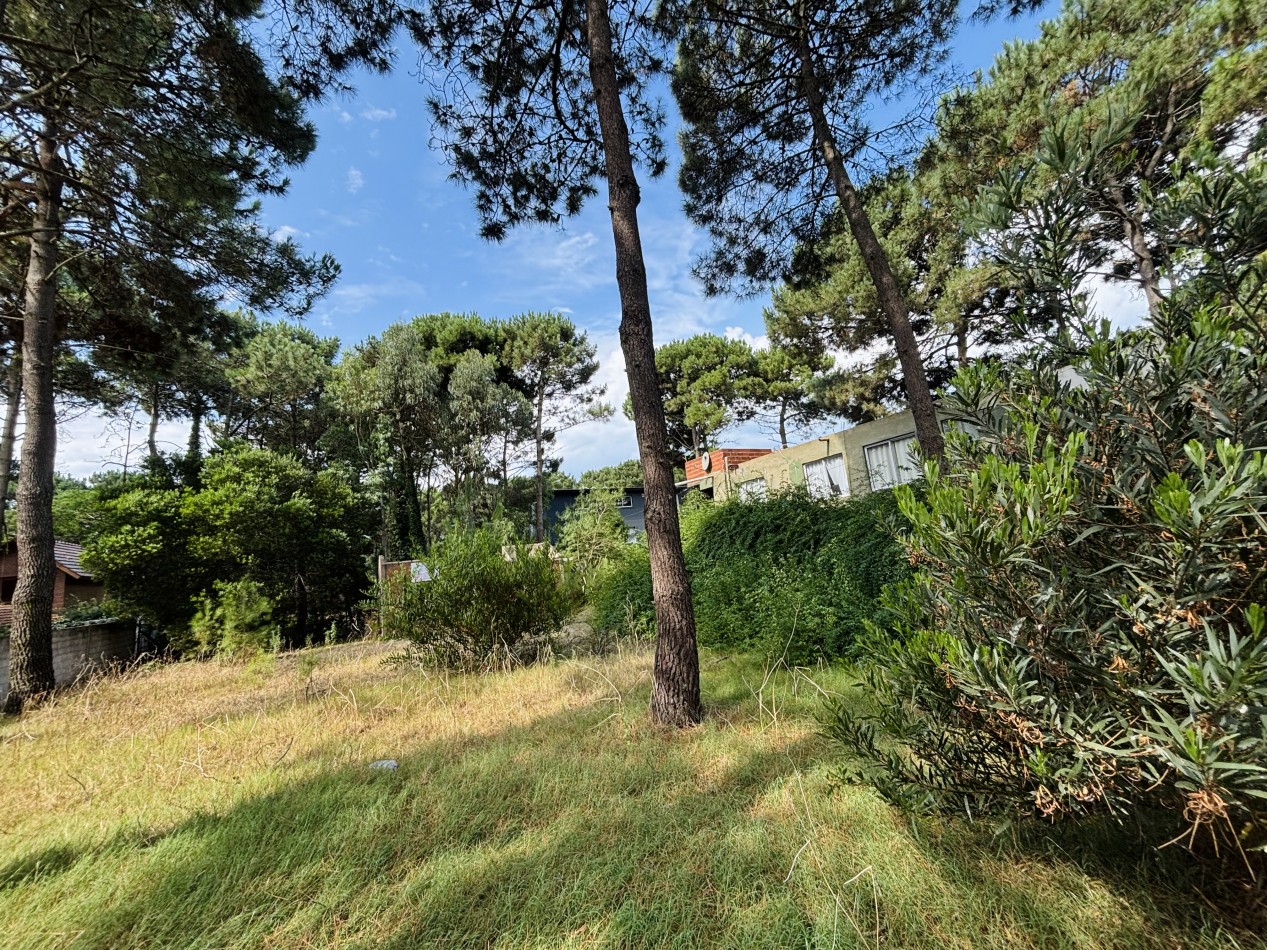 LOTE - 620 MTS - AV CONSTITUCION  