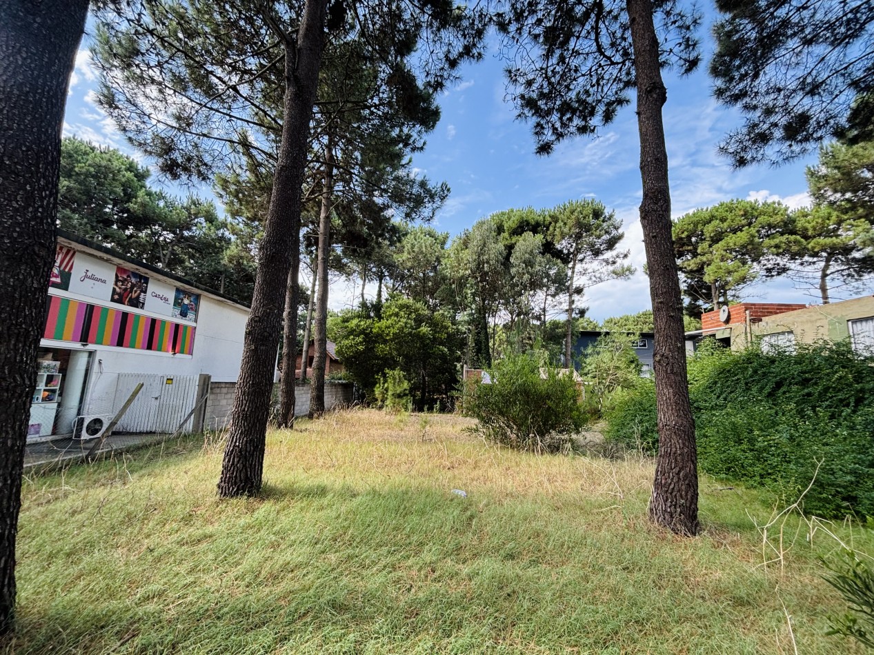 LOTE - 620 MTS - AV CONSTITUCION  