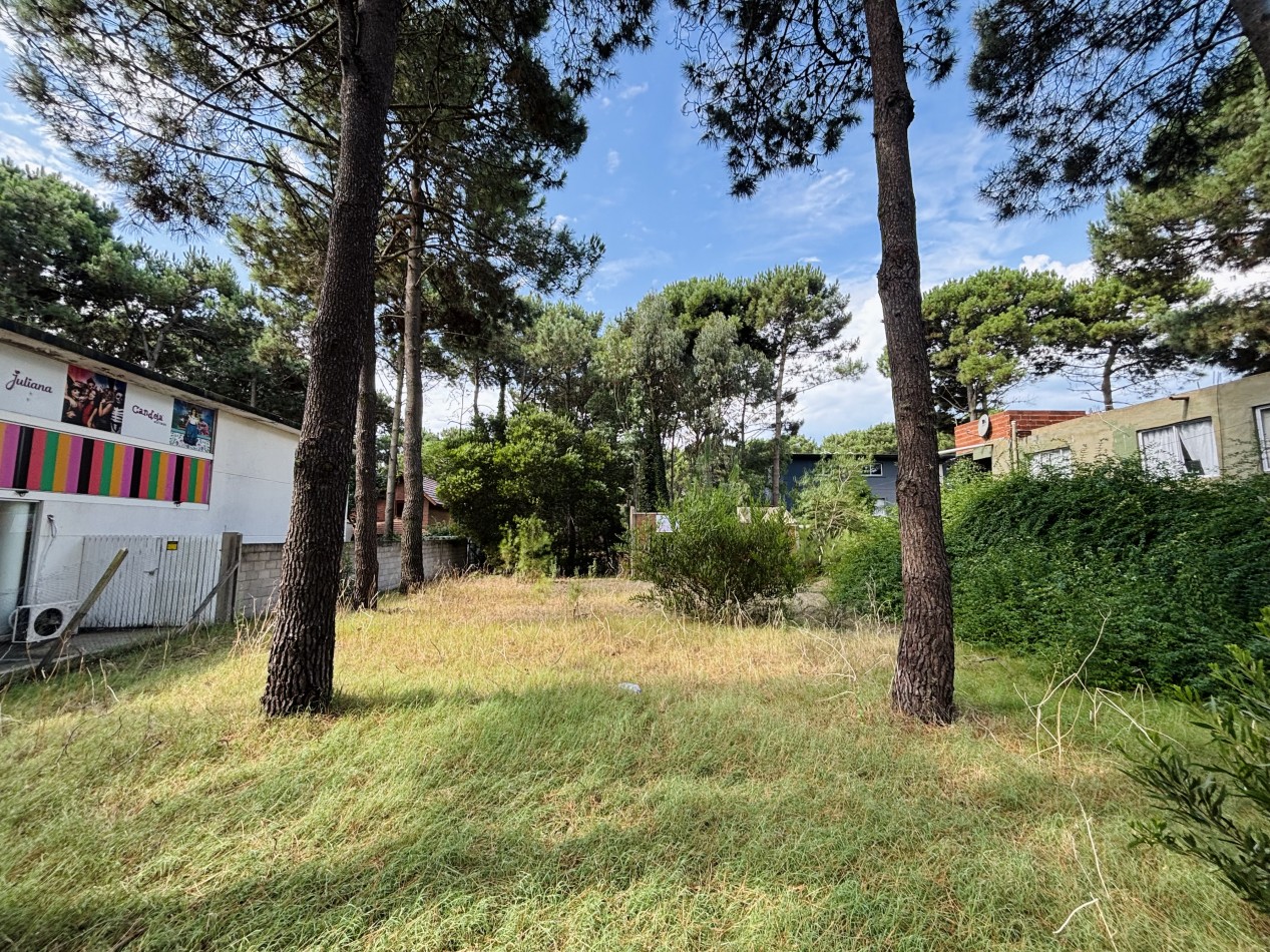 LOTE - 620 MTS - AV CONSTITUCION  