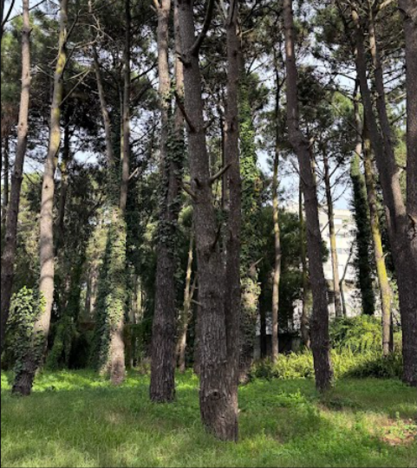OPORTUNIDAD DE LOTE RESIDENCIAL MULTIFAMILIAR COMERCIAL ARTESANAL EN PINAMAR - FINANCIAZION Y PERMUTA