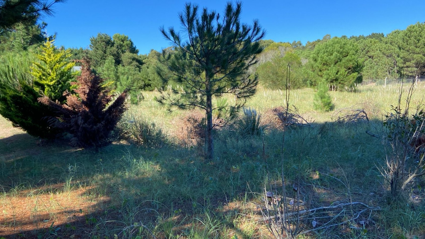 LOTE 96/97 EN VENTA UNIFICADOS - ECUESTRE  COSTA ESMERALDA - EXCELENTE UBICACION