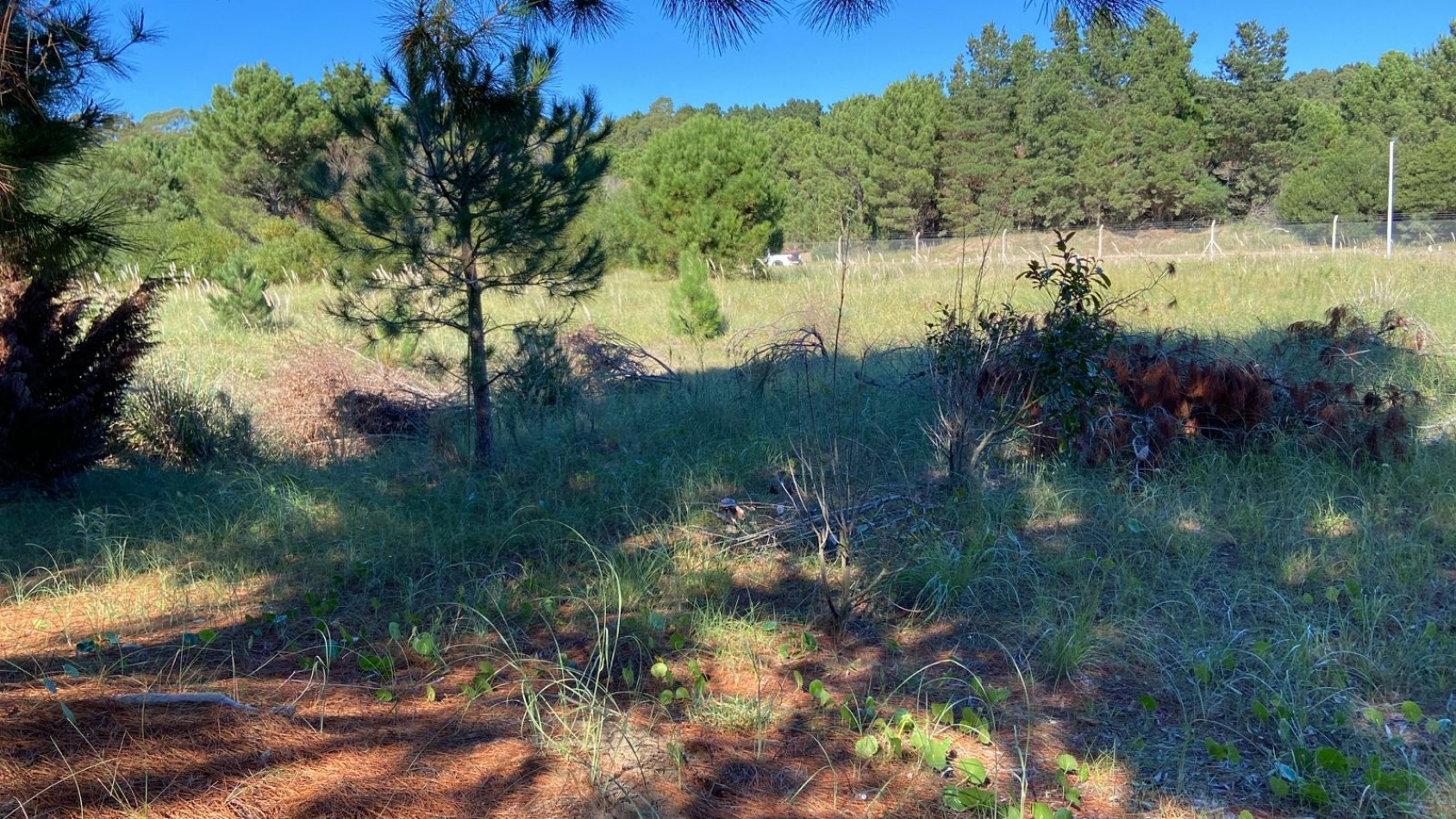LOTE 96/97 EN VENTA UNIFICADOS - ECUESTRE  COSTA ESMERALDA - EXCELENTE UBICACION